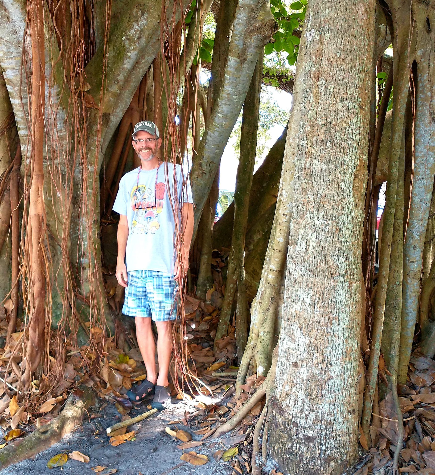 Richard standing among the roots of a large tree
